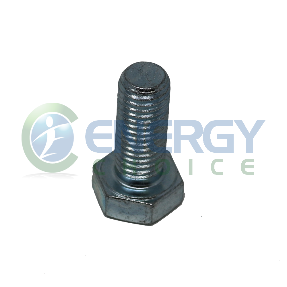 Hexagonal Head Screw, Jenbacher, 100470
